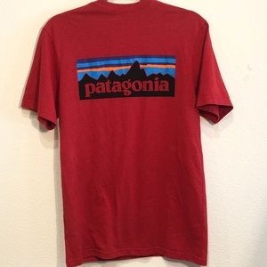 Mens Patagonia Tee